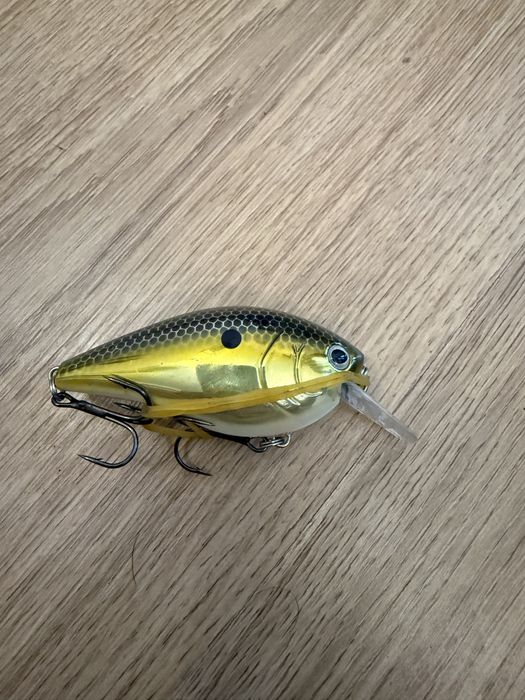 Amostra pesca nova