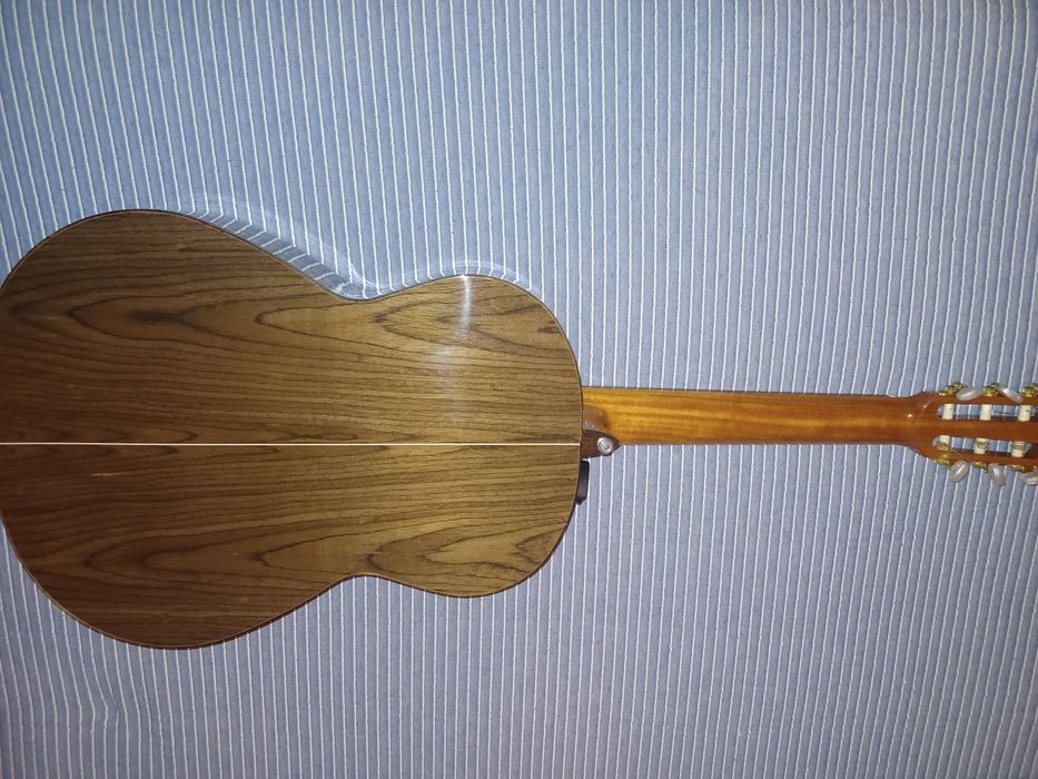 Guitarra APC modelo 5C