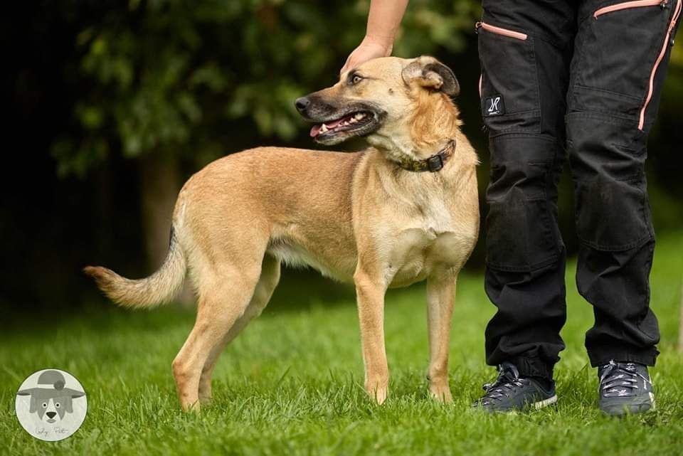 Zuzia na tropie domu