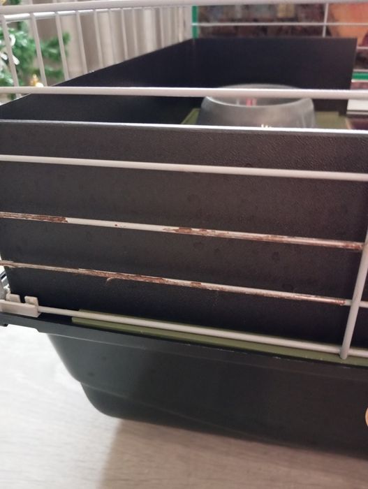 Casota/gaiola- usada