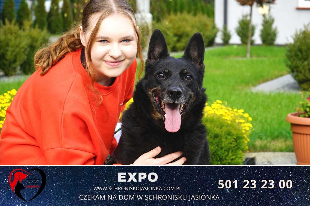 Expo do adopcji – Schronisko Jasionka