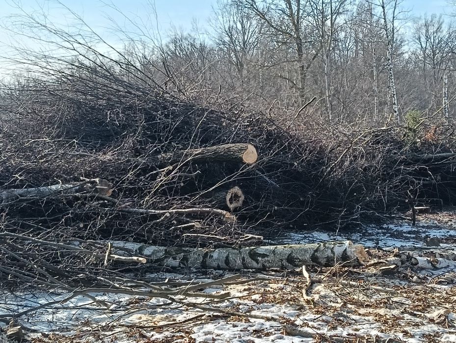 Biomasa 2000mp lisciasta