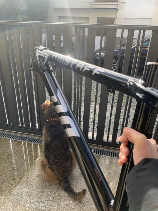Vendo quadro duncon amstaff como novo