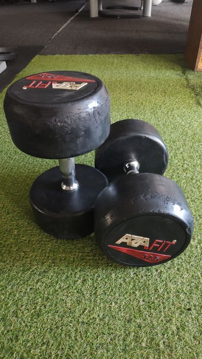 Halteres 27.5kg  e 32.5kg