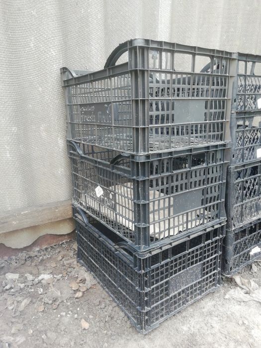 Пластиковые ящики