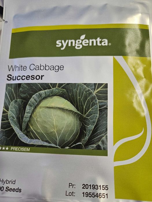 Kapusta Succesor 2.500 nasion - materiał siewny F1 Hybrid