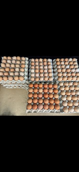 Jajka wiejskie  Duże ilości