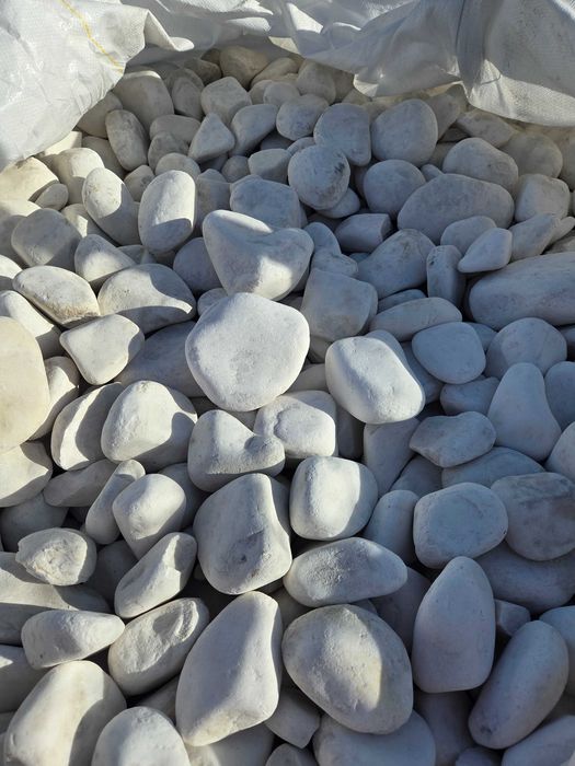 Otoczak White Angel, śnieżno-biały