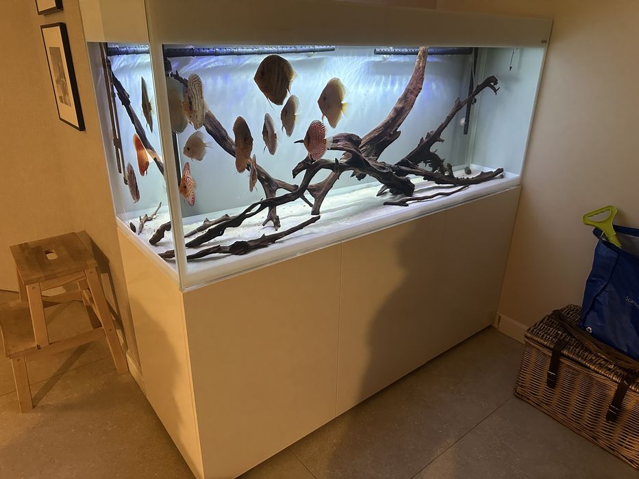 Aquael glossy 150cm 405l ultramax zestaw