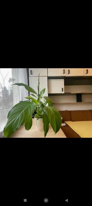 mieszkanie 35m 2 pokoje z balkonem LUBLAŃSKA
