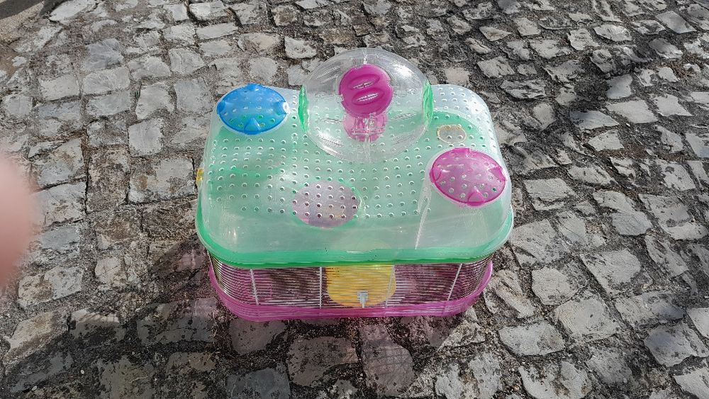 Gaiola amester/ transporte  gato/ cão