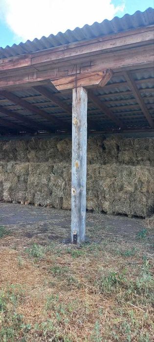 Сіно в тюках.Доставка. Оптом і в роздріб.