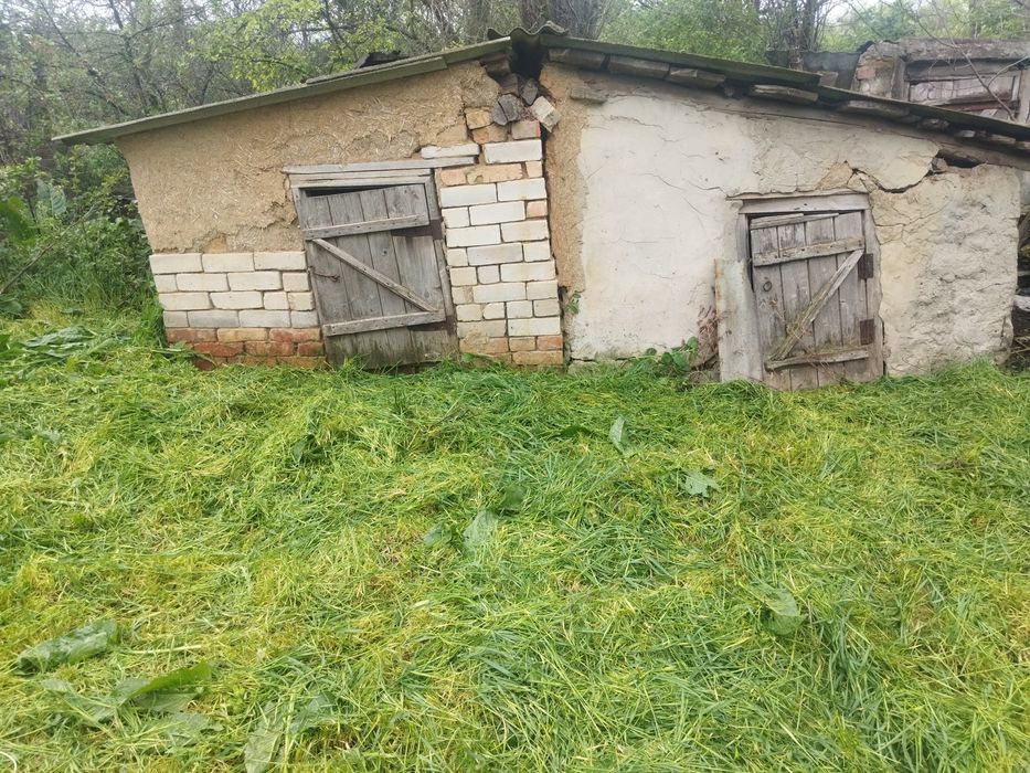 Продається будинок,місце для пасіки