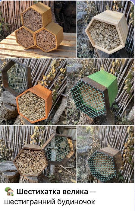 Будиночки для осмій. Кокони Осмій Корнута. Трубочки очеретяні. Осмії