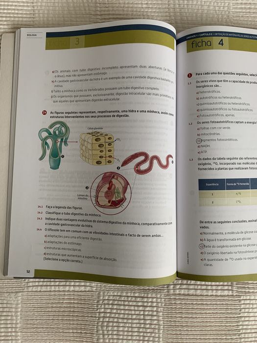 Caderno de atividades Biologia e Geologia 10