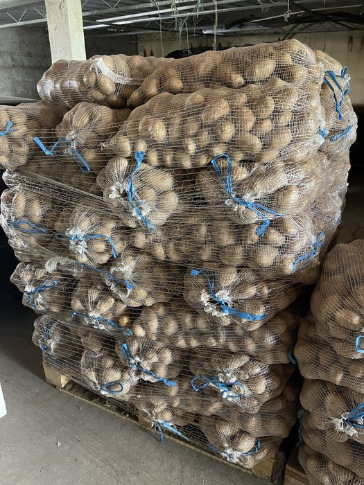 Batata Agrea Nova 0,45€/kg + IVA | Olho de Perdiz Nova 0,39€/kg + IVA | Venda à Palete
