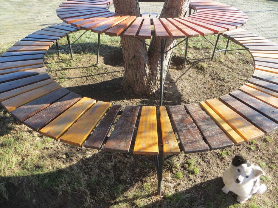 Стол и скамейка вокруг дерева.