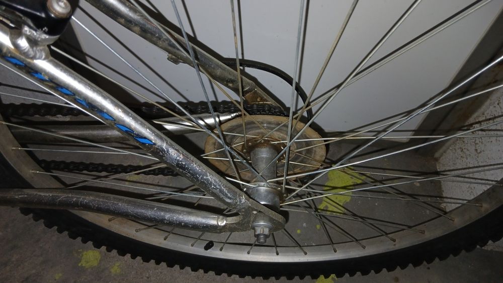 Bicicleta adulto