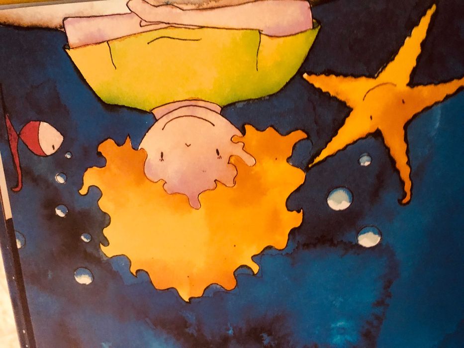 A Viagem de Lyomer O Menino do Mar, novo, portes grátis