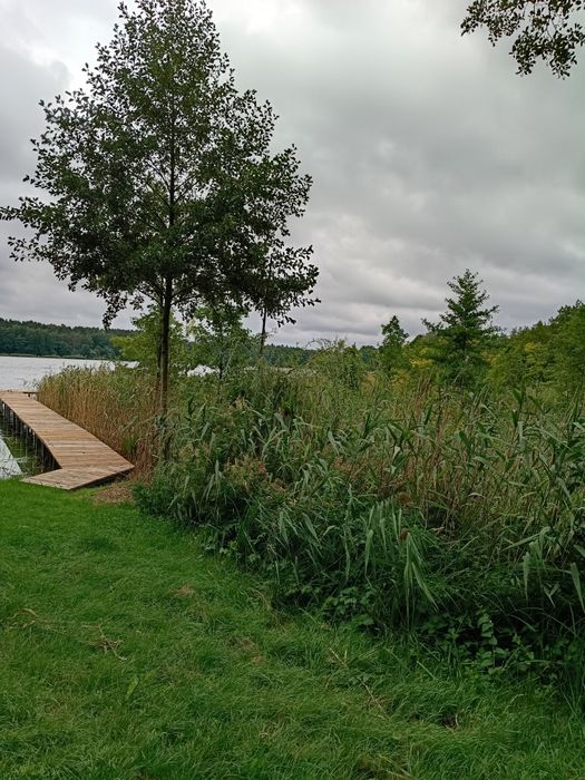 Działka nad jeziorem Głuszyńskim