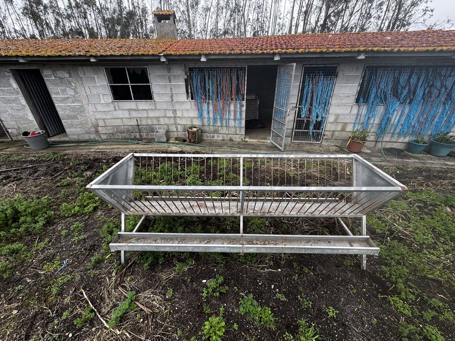 Comedouro  para ovelas / cabras