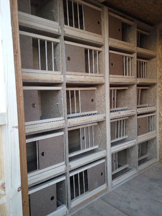 gołębnik 5m x 2m gołębie pocztowe ozdobne białe
