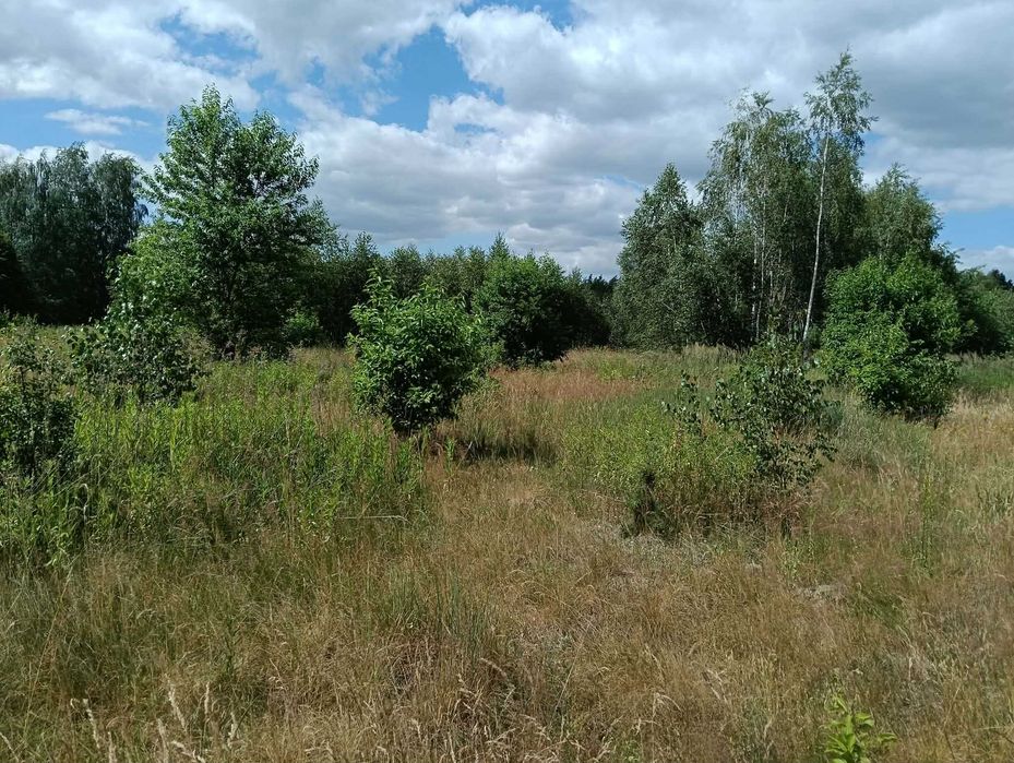 Sprzedam działkę Jesionka gm. Czosnów 1880 M2