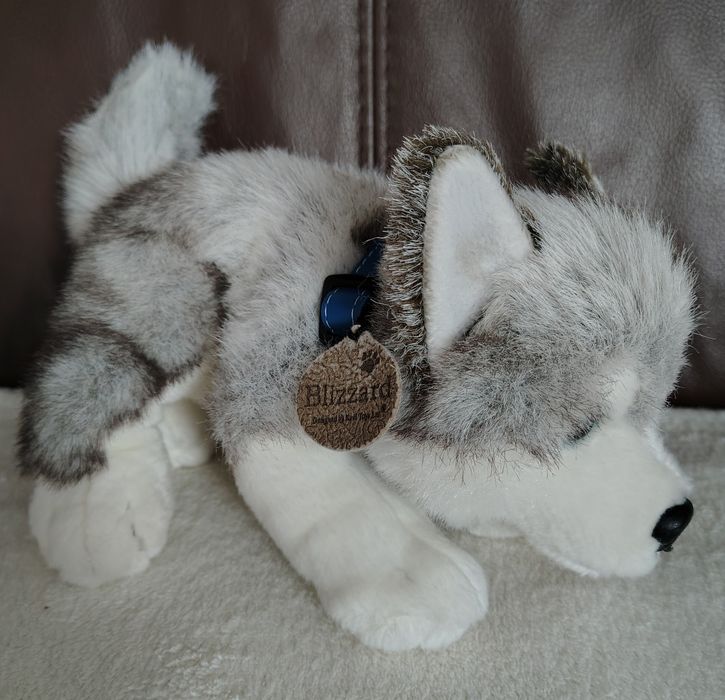 Pluszak pies husky Blizzard Kell Toys