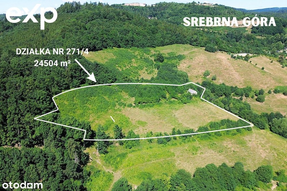 Super inwestycja, Srebrna Góra