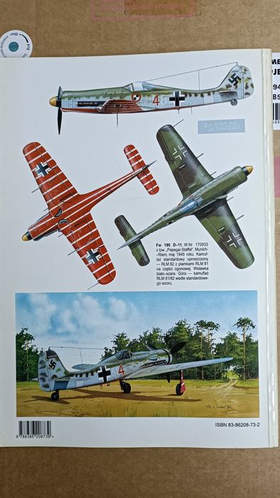 Malowanie i oznakowanie Luftwaffe 4