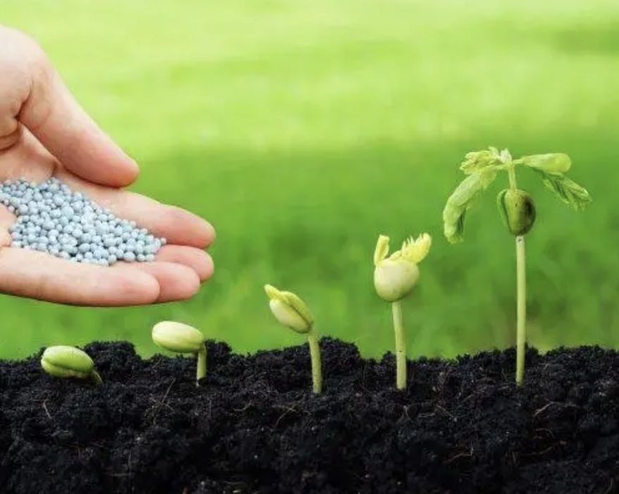 Добрива оптом: NPK, карбамід, сульфат амонію, сульфат магнію, Біг-бег