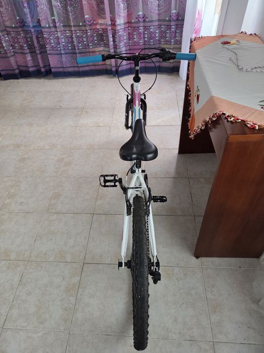 Bicicleta berg 24"