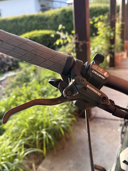 Rower elektryczny Bergamont E-line C