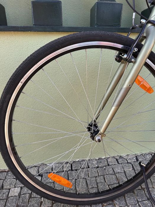 Bicicleta Coyote