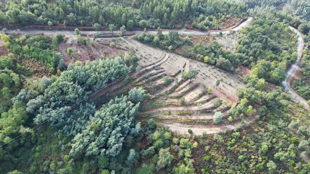 Terreno 1,2 ha com viabilidade de construção – Esculca