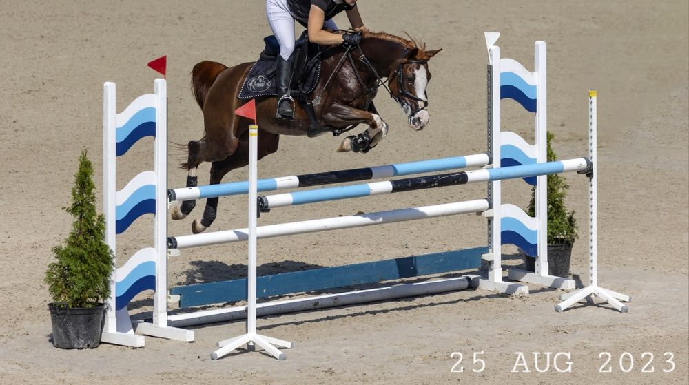 Wybitna klacz arabska (kuc) | Na MATKĘ