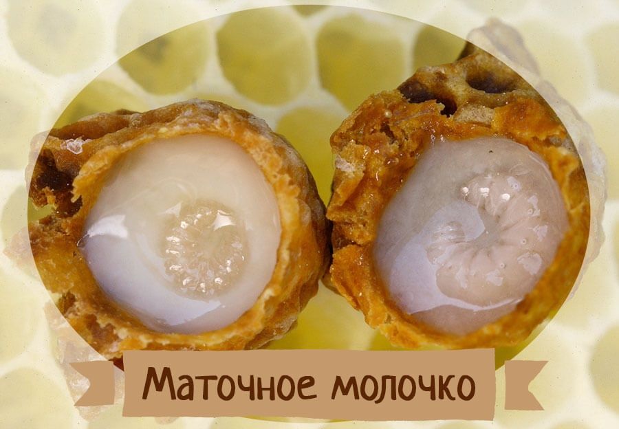 Бджолине Маточне Молочко