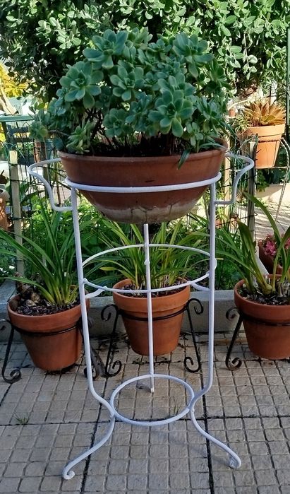 Suporte de ferro com vaso e planta.