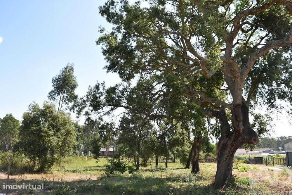 Terreno para construção em Amor de 2619,00 m2