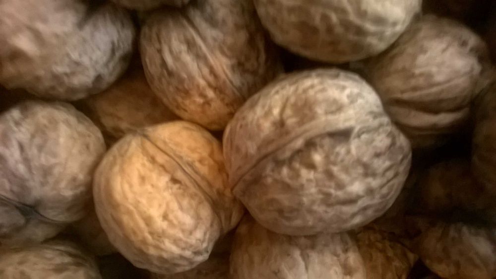 Orzechy Włoskie  Ekologiczne OKAZJA 2025