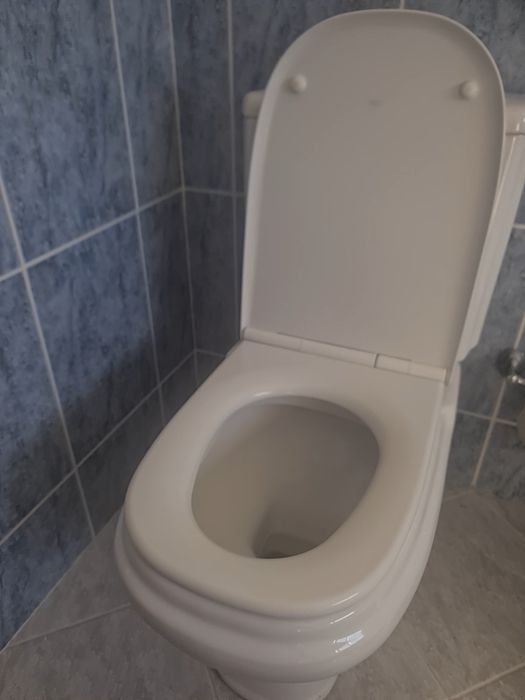 Sanita + bidé + torneira Roca