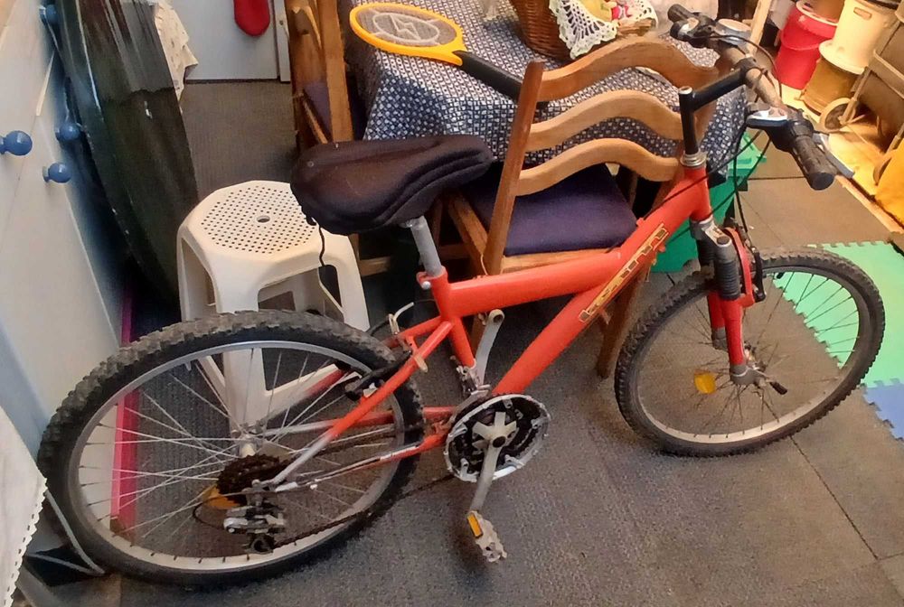 Bicicleta de montanha Team Adventure