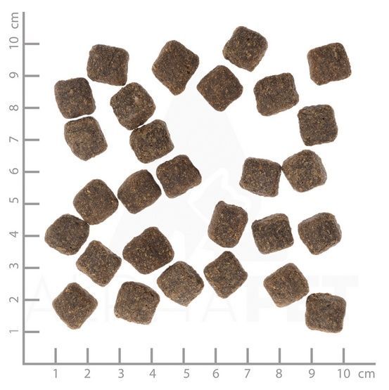 Zdrowa bezzbożowa karma dla małych psów Wolfsblut Dziczyzna bataty 2kg