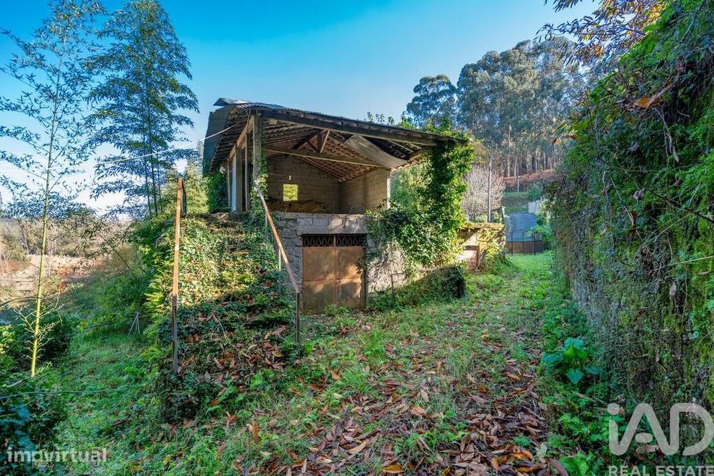 Terreno em Esqueiros, Nevogilde e Travassós
