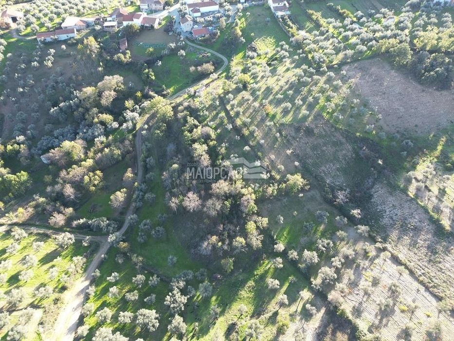 Terreno Agrícola Grijó de Parada