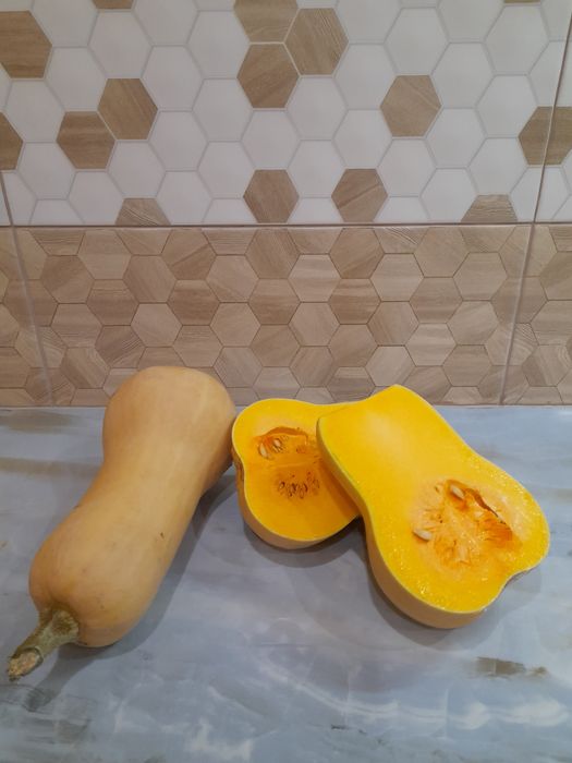 Домашні солодкі гарбузи мускатного типу