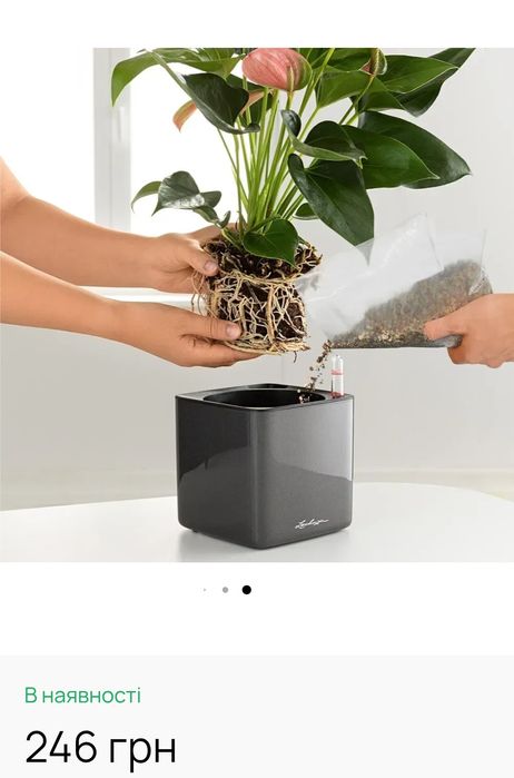 Lechuza- нова посадочна вкладка сепаратор для вазонів