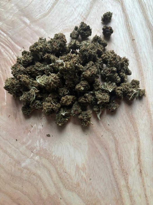 susz konopny CBD / Kwiaty CBD Premium – Cytrusowa Supernowa
