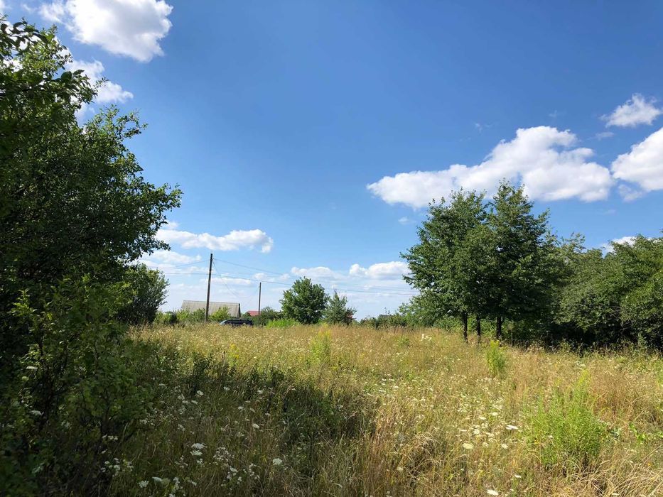 Продам ділянку с. Щітки (8387)