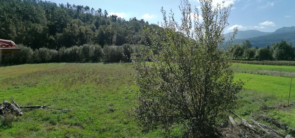 Vende-se Casa rústica